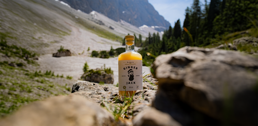 Gember en immuniteit